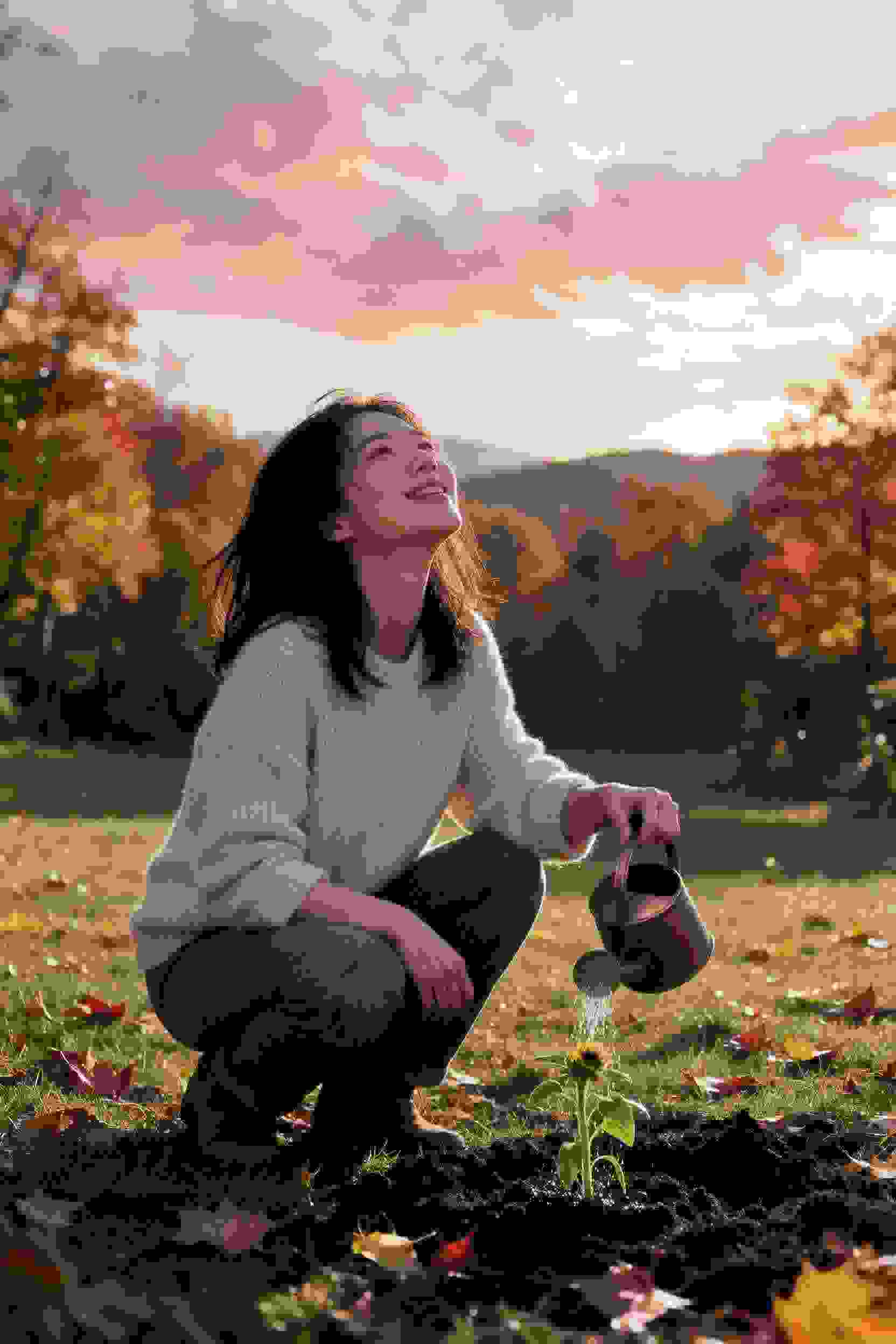 樱花恋曲